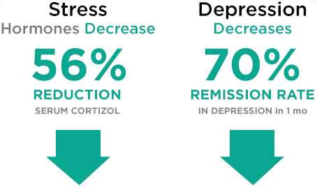 sudarshan kriya for depression