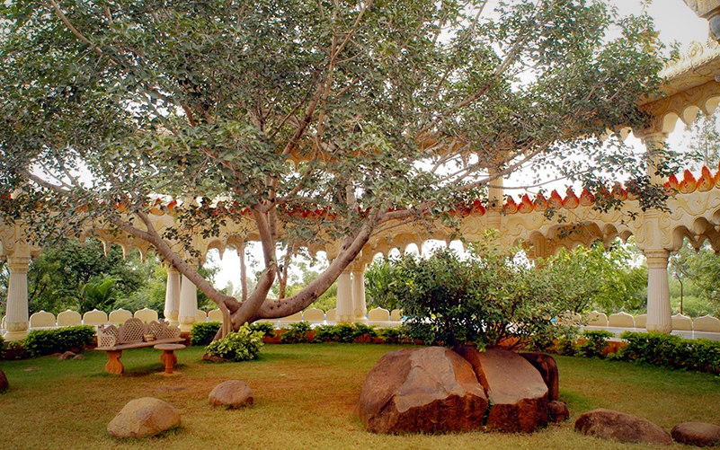 The Art of Living Ashram